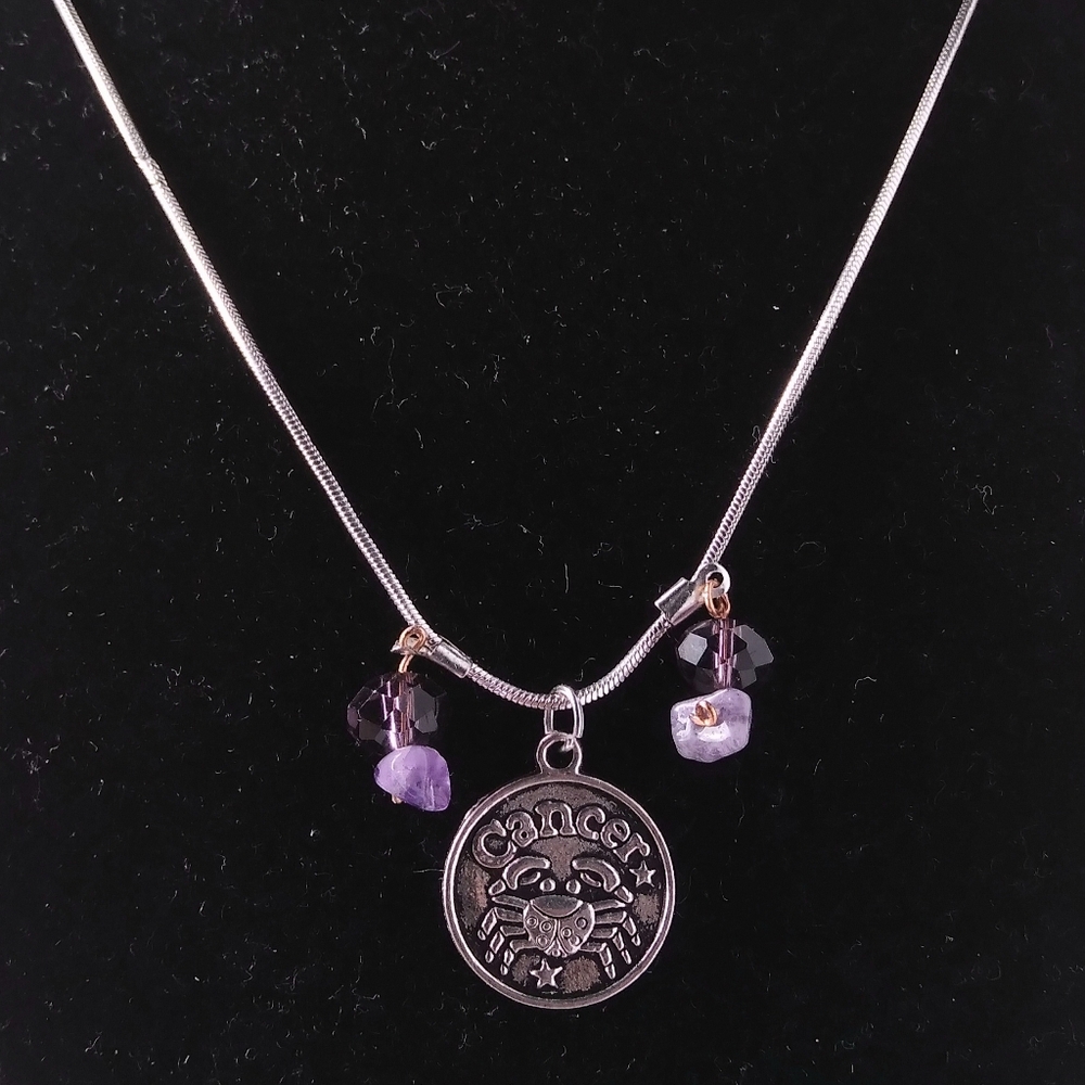 Capricorn Zodiac Charm Necklace with Purple and White Gems
